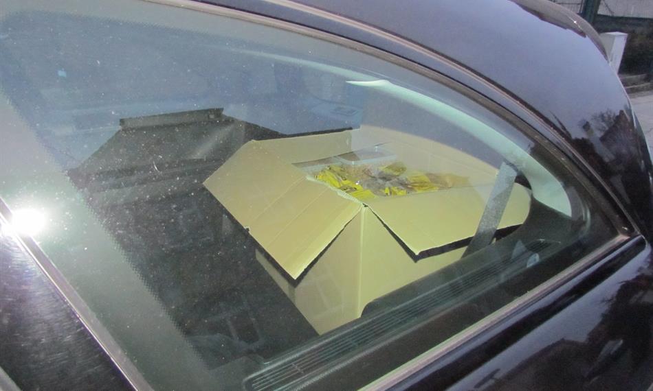 2013-4-5-1437130404_zatec (10).jpg